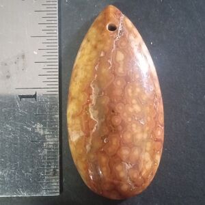 Large Teardrop Fossil Coral Pendant